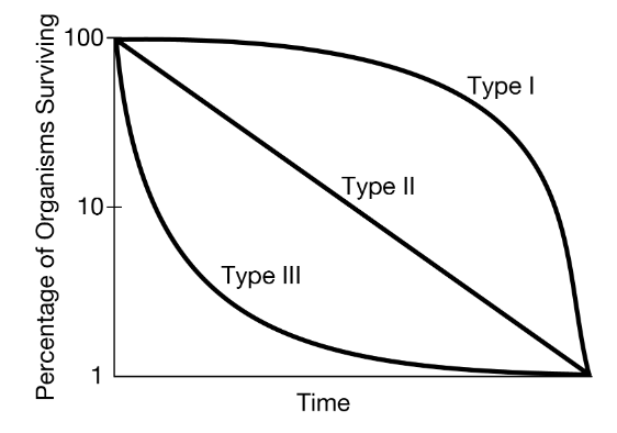 <p>The graph below shows three different survivorship curves. <span style="font-family: Roboto, LearnosityMath, Helvetica Neue, Helvetica, Arial, sans-serif">Cycads are gymnosperms that were diverse and abundant during the Mesozoic era. Extant species of cycads share many traits with those from the Mesozoic era. Cycads bear cones, are long-lived with slow growth rates, show late reproductive maturity, and have very few offspring. Based on this description, the cycads are</span></p>