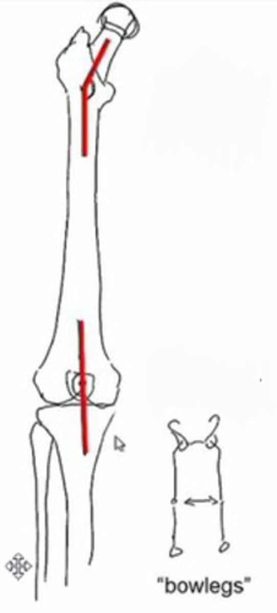 <p>What does this image show?</p>