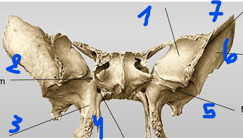<p>6</p>