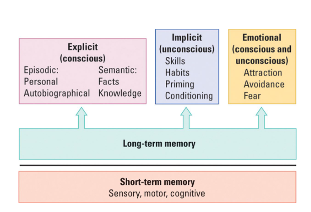 <ol><li><p>Explicit memory (conscious)</p></li><li><p>Implicit memory (unconscious).</p></li></ol><p></p>