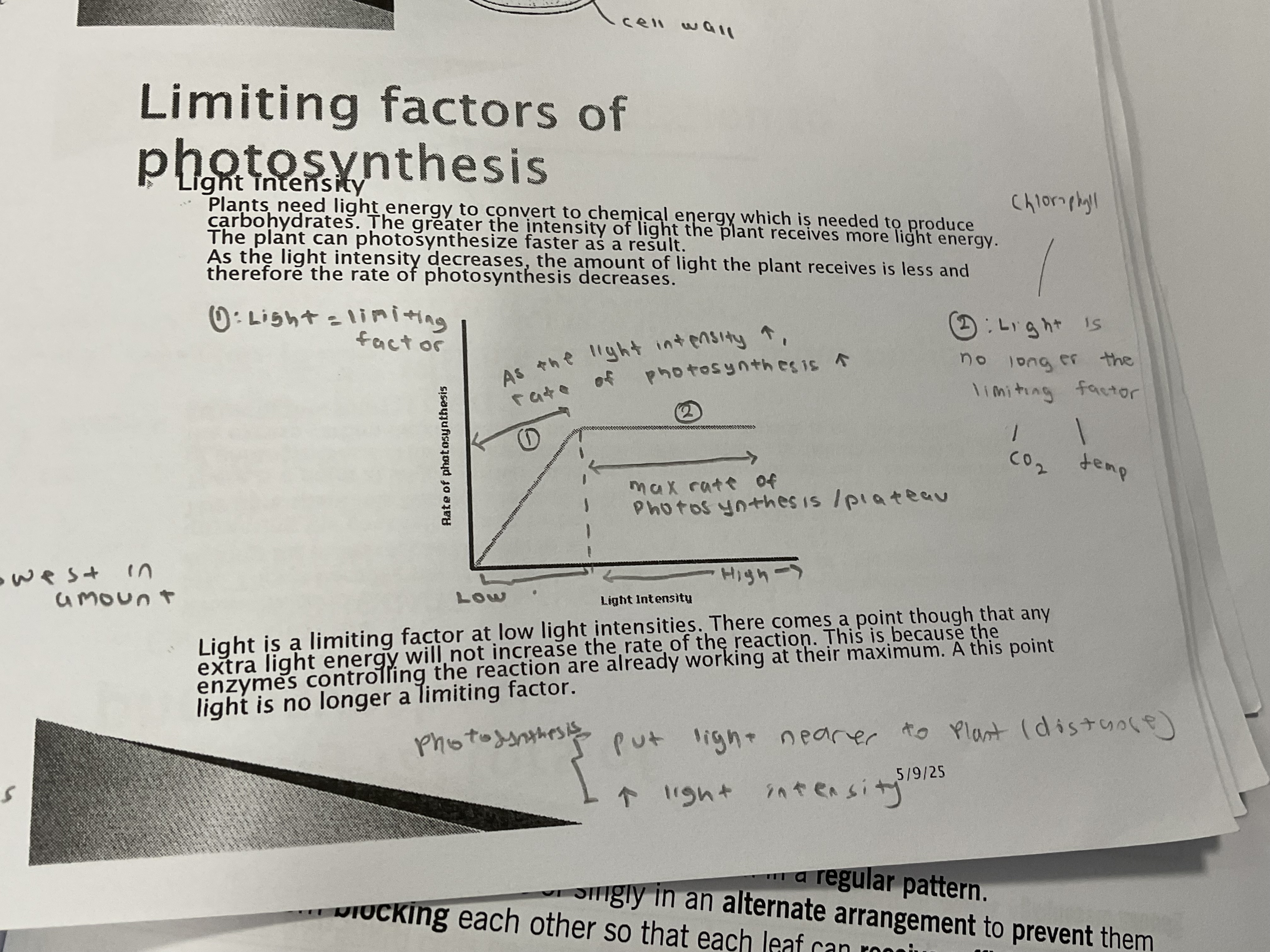 <p>Light intensity </p>