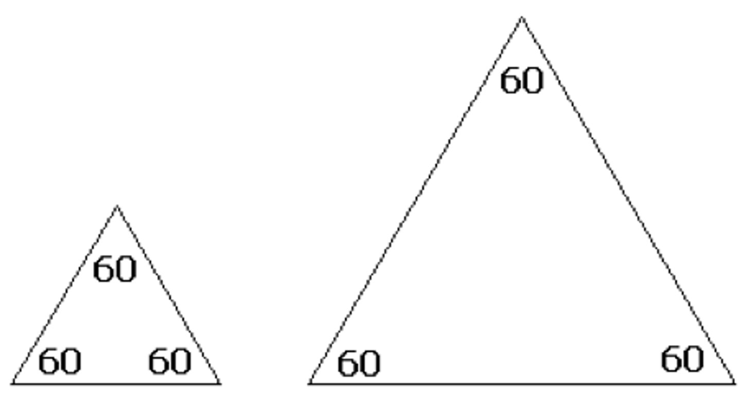 <p>Does <b>NOT</b> prove that triangles are congruent!</p>