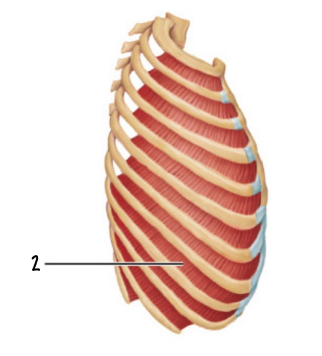 <p>2</p>