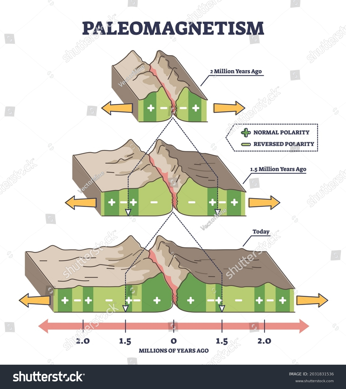 <ol><li><p>Magma erupts on ocean floor at constructive plate boundaries as they are moving apart </p></li><li><p>Iron minerals with iron-rich basaltic rocks are aligned to the magnetic field of the earth and become polarised</p></li><li><p>Earth’s polarity reverses approximately every 400,000 years, which results in a series of magnetic stripes in alternating polarity within rocks</p></li><li><p>Pattern mirrored on both sides of ridge, suggesting sea floor is spreading away from boundary</p></li></ol><p></p>