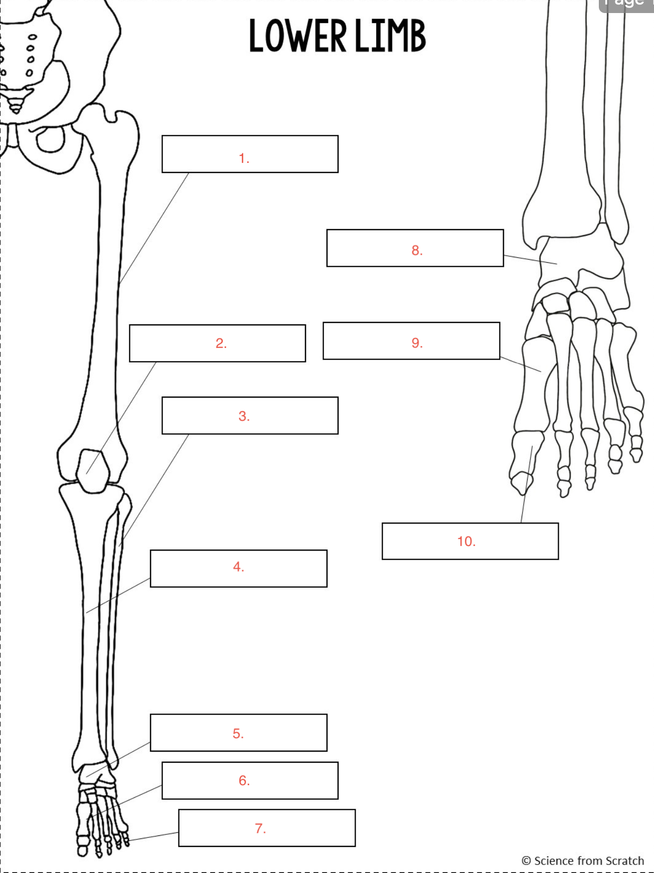 <p>#7</p>