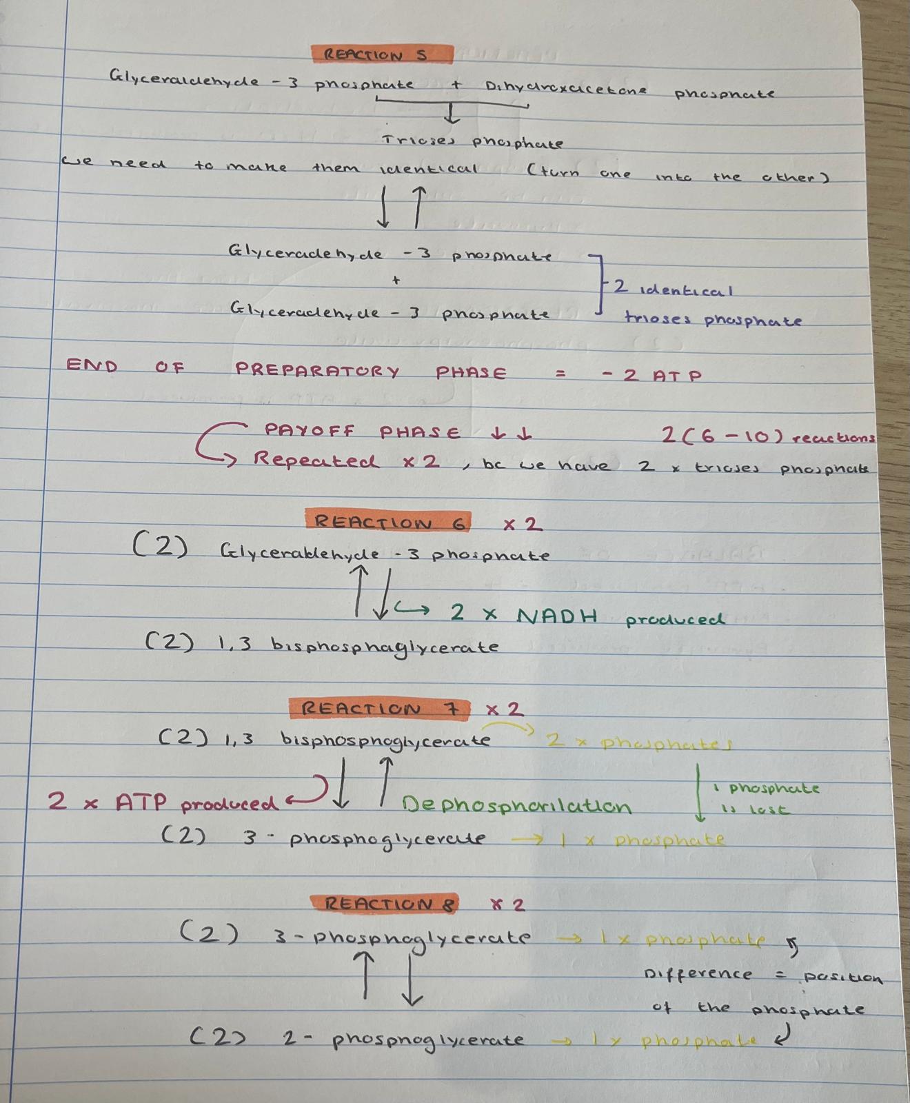 <p>reactions 6-8 read </p>