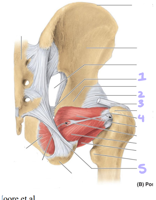 <p>identify structures 1-5</p>