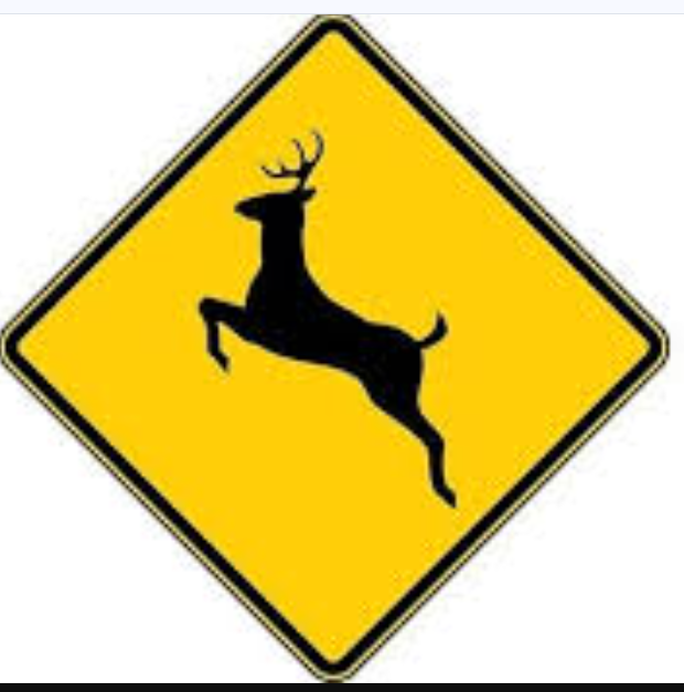 <p>What Does This Sign Mean?: Deer</p>