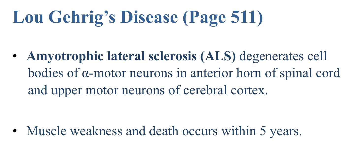 <p><span>Amyotrophic lateral sclerosis (ALS)</span></p>