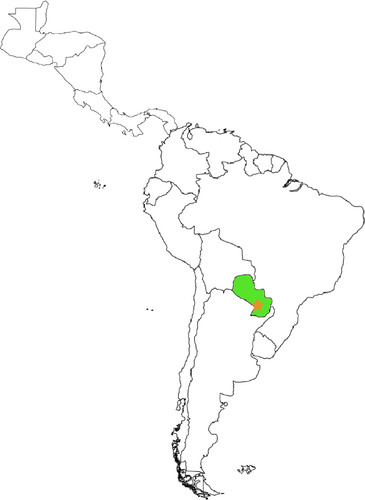 <p>Asunción</p>