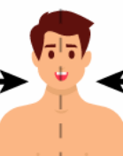 <p>Towards the midline of the body.</p>