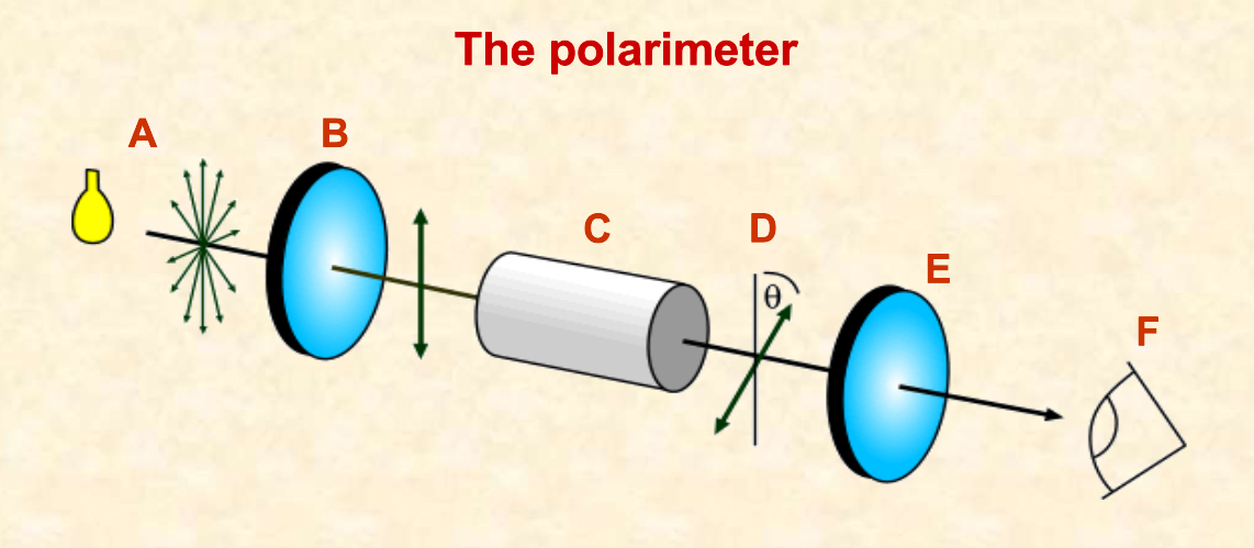 <p>What occurs at each stage?</p>