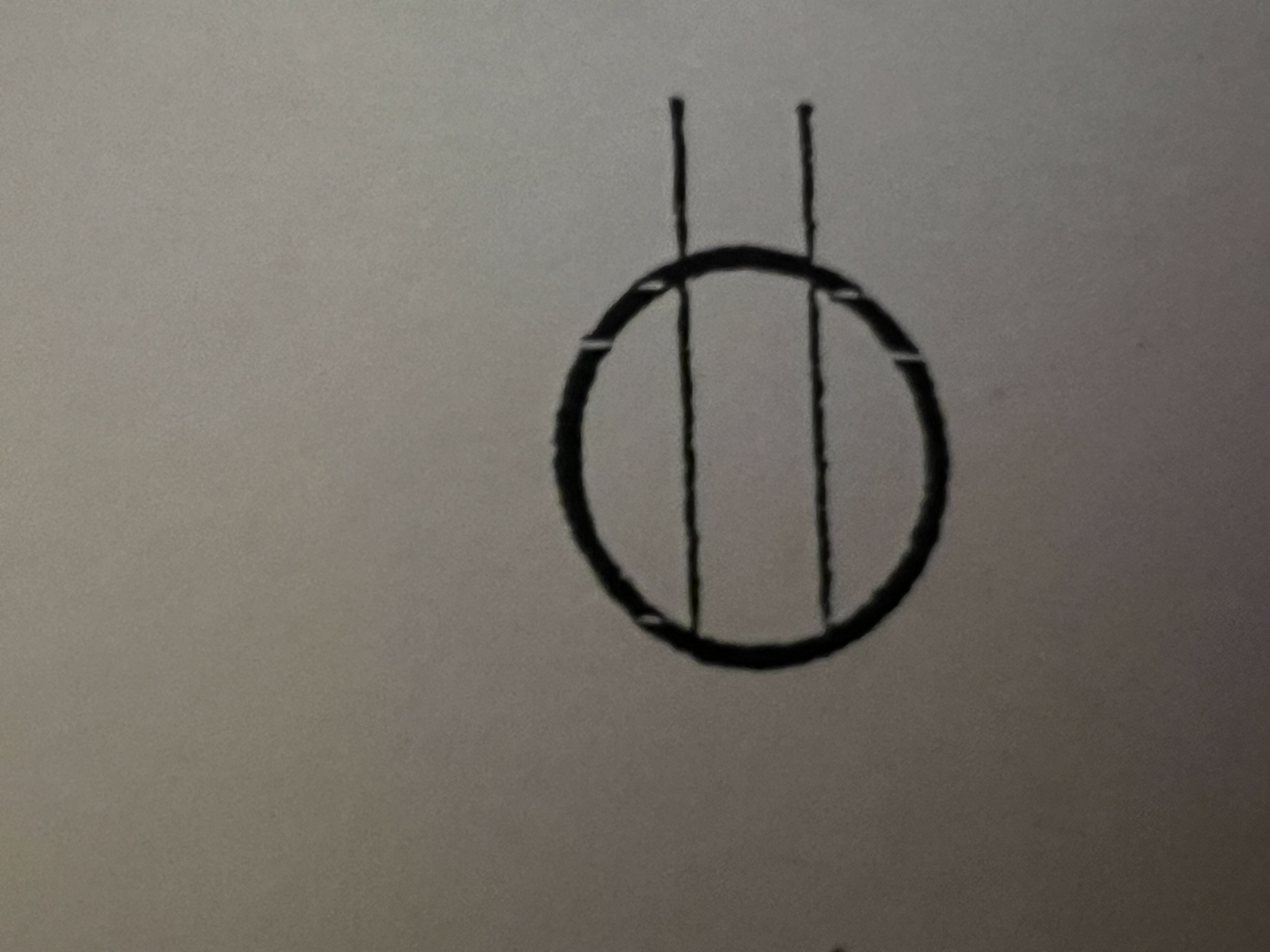 term image