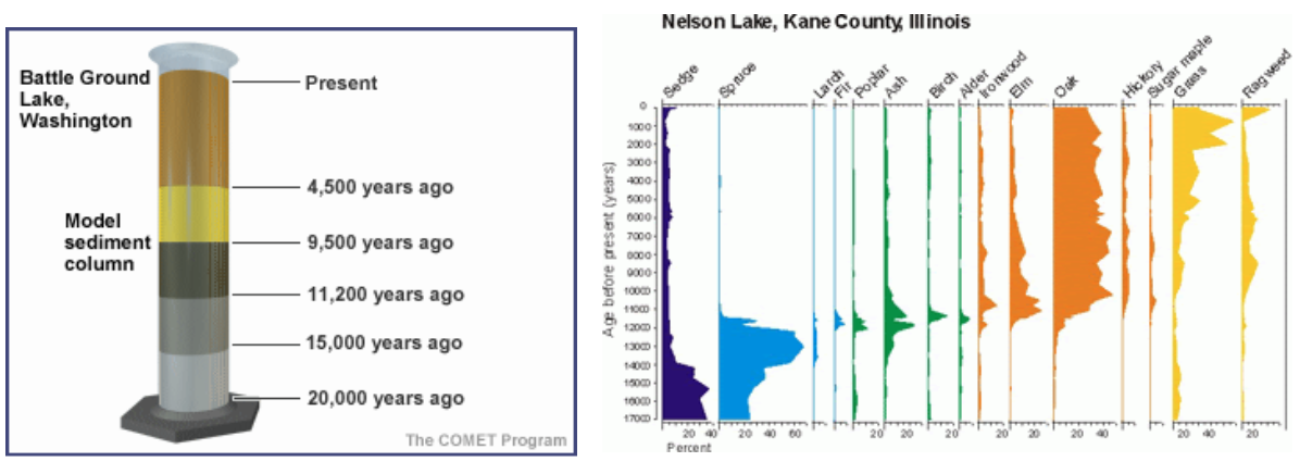 <p>Sediment cores from lakes:</p><ul><li><p>Yearly accumulation</p></li><li><p>can identify pollen from specific species to identify past communities</p></li></ul><p><strong>This is an example of ____?</strong></p><p></p>