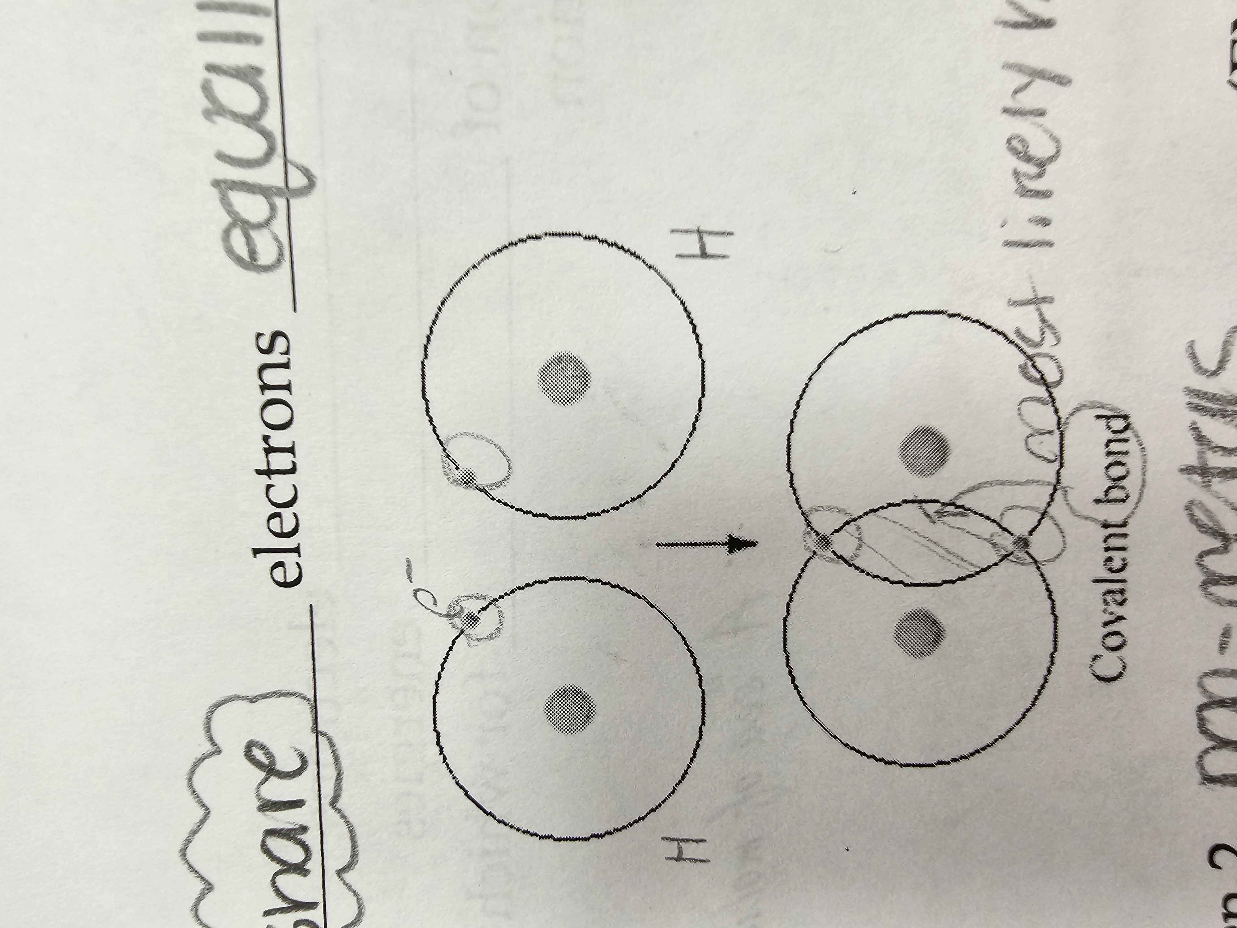 When 2 nuclei ==share== e- equally or unequally