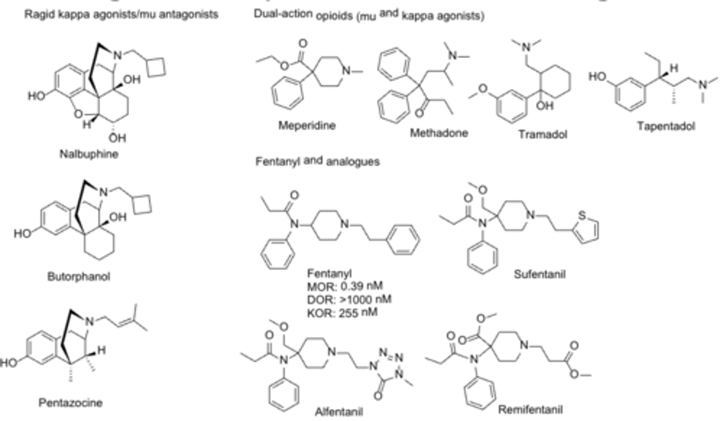<p>1. nalbuphine-we dont need furan</p><p>2. butorphanol- dont need ring</p><p>3. meperidine- dont need other ring</p>
