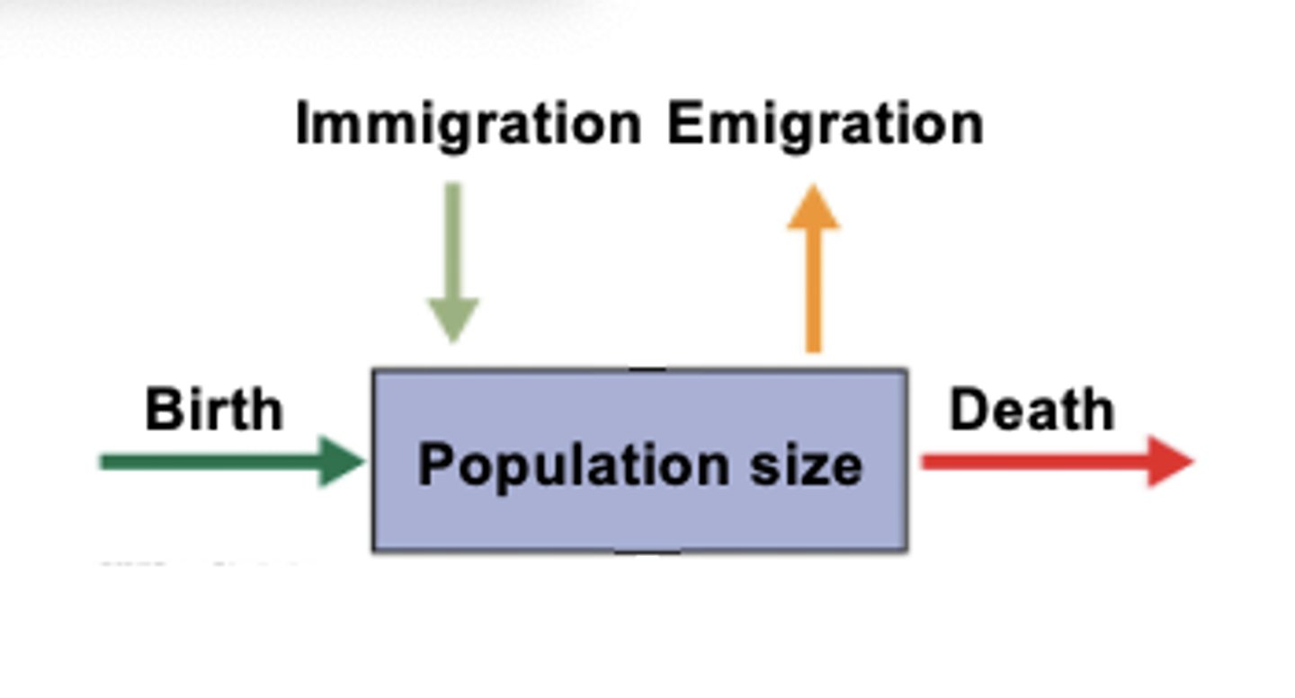 <p>births and immigration </p><p>(When individuals enter a subpopulation)</p>