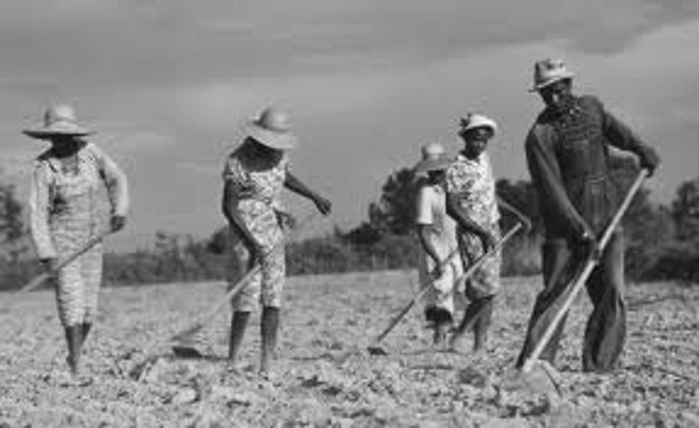 <p>System of agriculture used in the South with former slaves. Farmers would give a portion of their crops to the landowner in exchange for use of the land.</p>