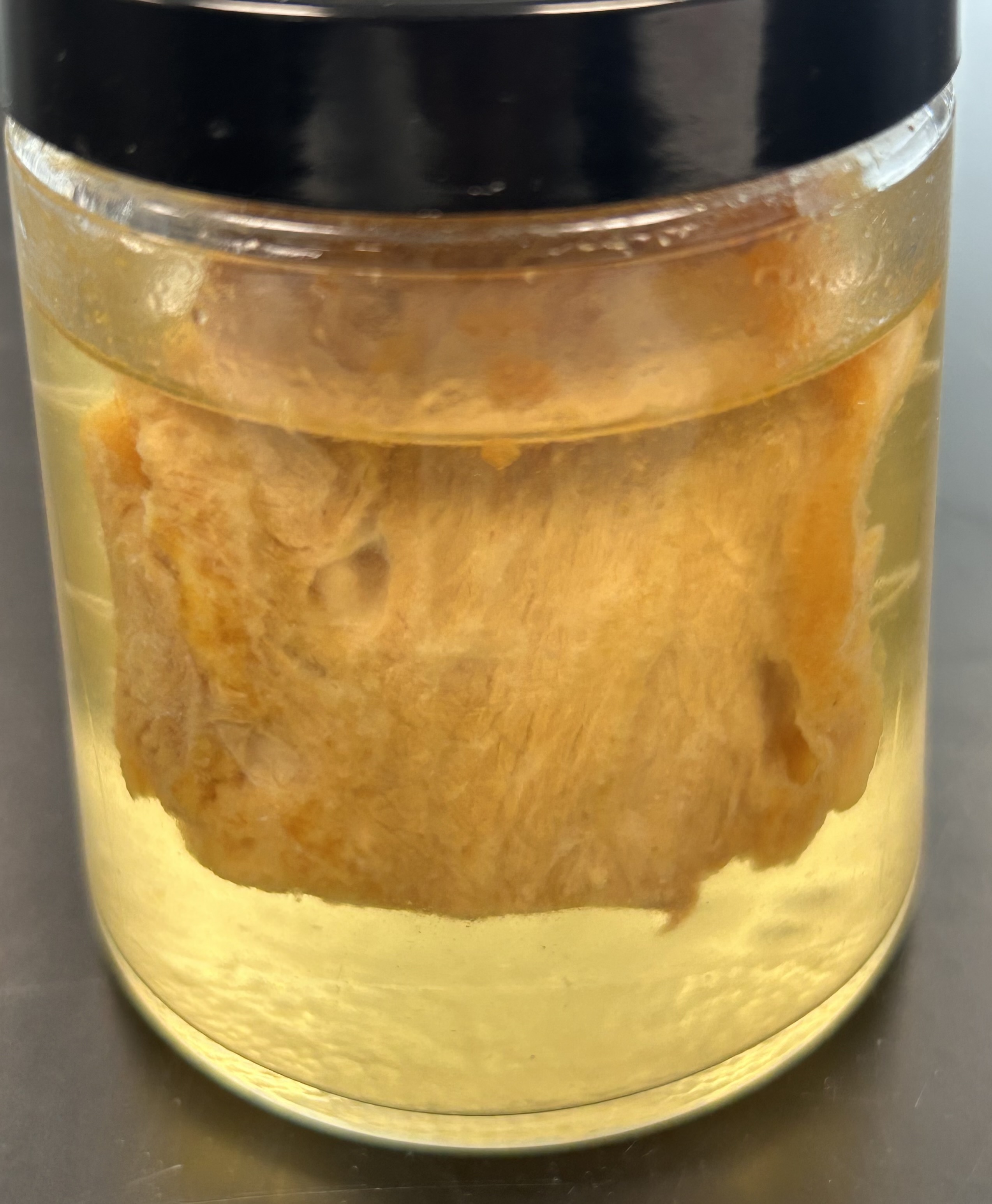 <p>Identify the item and the Class it’s infection belongs to</p>