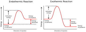 <p>Activation Energy </p>