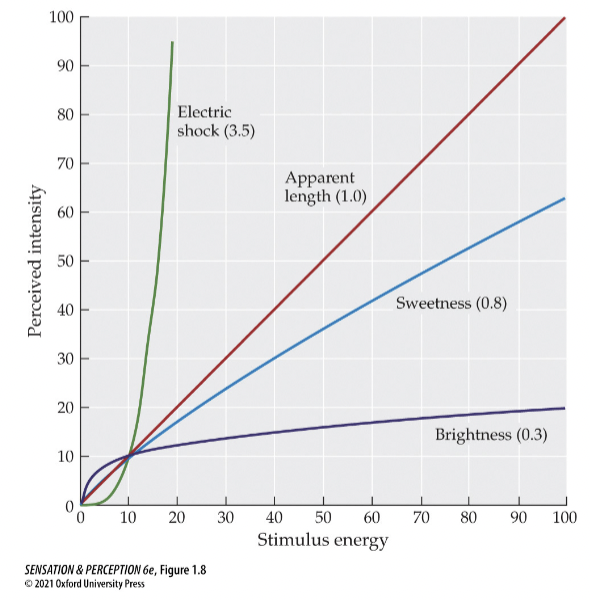 <p>participant assigns number to describe stimulus intensity</p><ul><li><p>ex. whiteness of standard dot pattern is 100</p></li><li><p>sensory magnitude of a stimulus increases with its physical magnitude, within limits, but rate of increase varies with different sensations - curves are different but can be describe with a power law</p></li></ul><p></p>