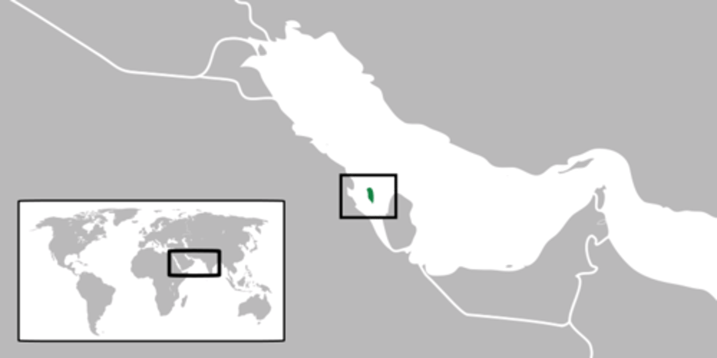<p>Manama</p>