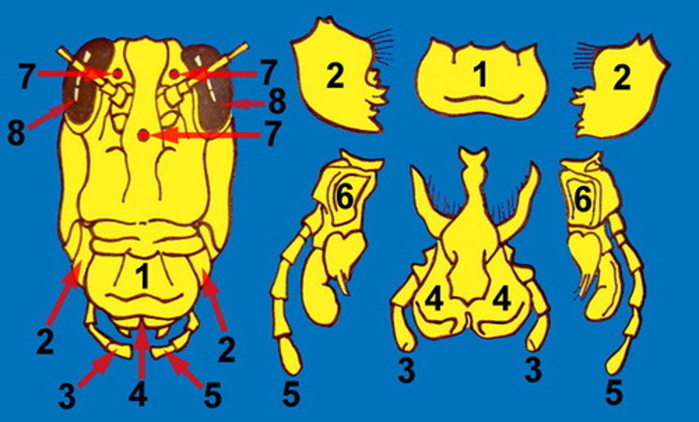 <p>4</p>