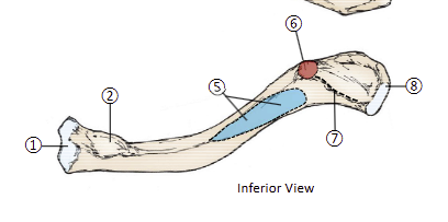 <p>6</p>