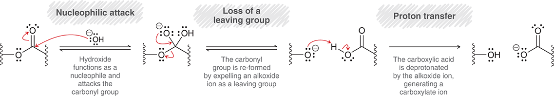 <ol><li><p><span>In basic conditions alcohol attacks carbonyl carbon, shifting electrons to oxygen on carbonyl</span></p></li><li><p><span>Then electrons on carbonyl carbon shift back, kicking off ether group</span></p></li></ol><p></p>
