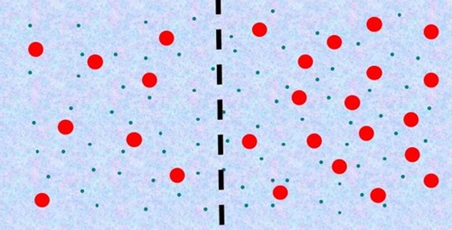 <p>The amount of water in the body which is controlled by homeostasis to regulate conditions for osmosis</p>