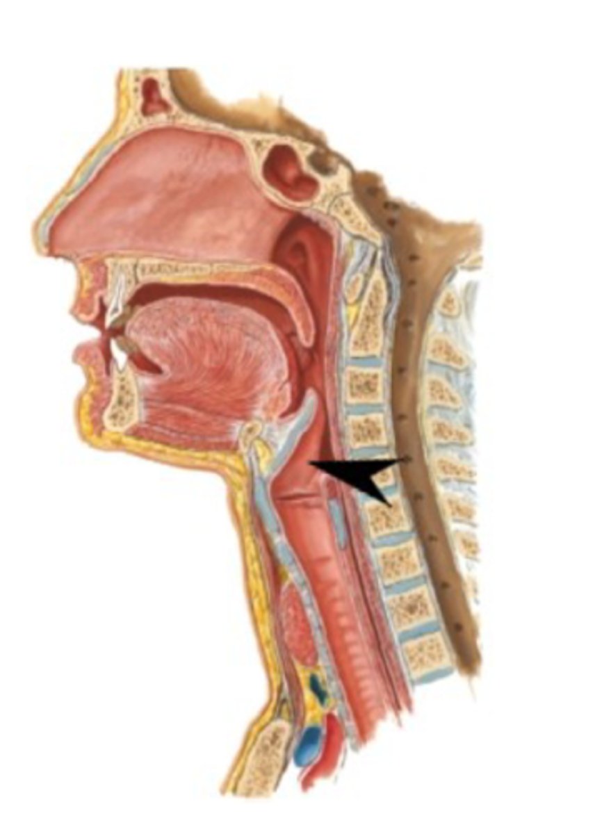 <p>What is this structure?</p>