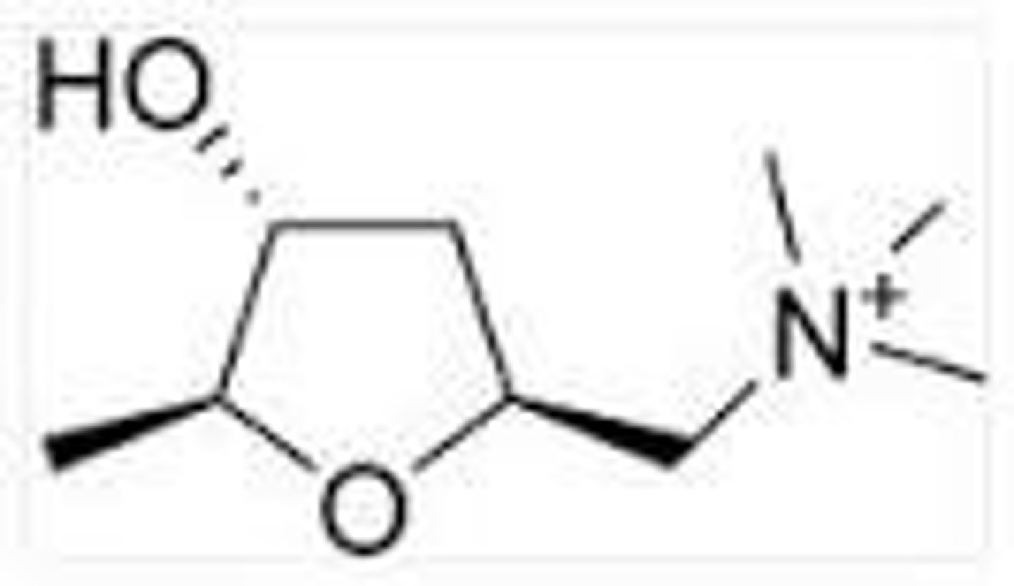 <p>how many chiral centers does muscarine have</p>
