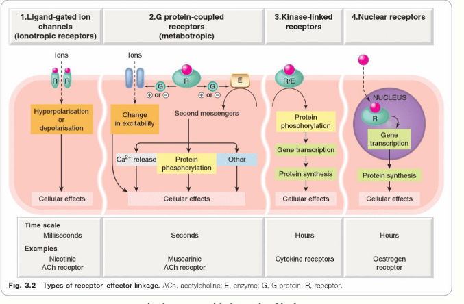 <p>what is this showing</p>