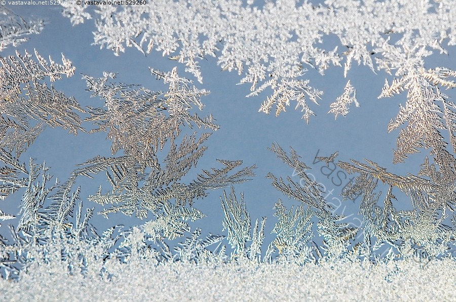 <p>Jään perustamat jääkiteet rikkovat solun rakenteen</p>