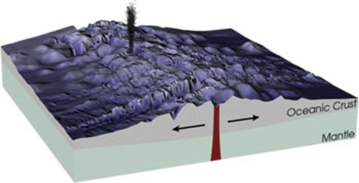 <p>The process by which new oceanic crust forms as magma rises towards the surface and solidifies at divergeny boundaries. Oceanic-Oceanic divergence</p>