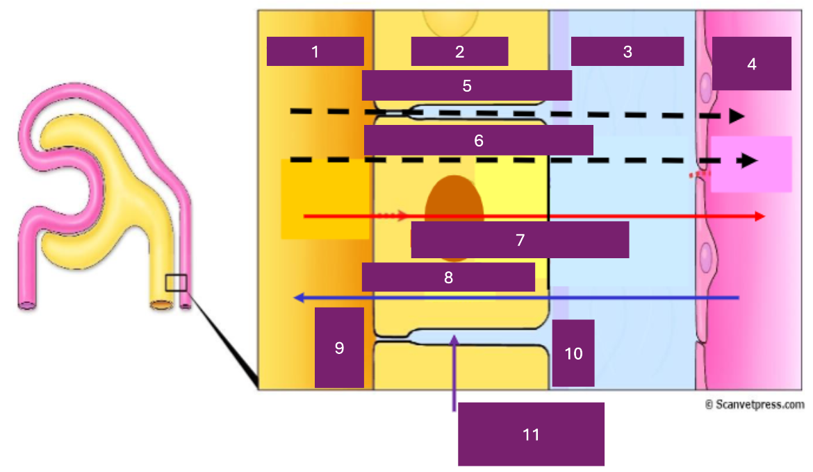 <p>Name 6</p>