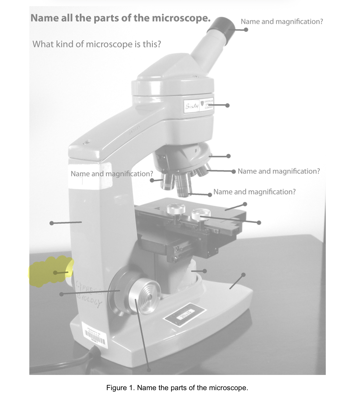 term image