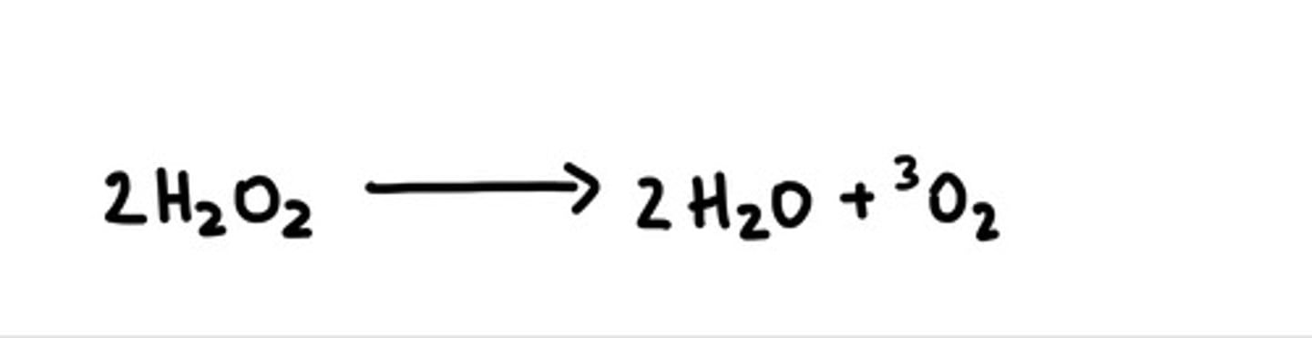 knowt flashcard image