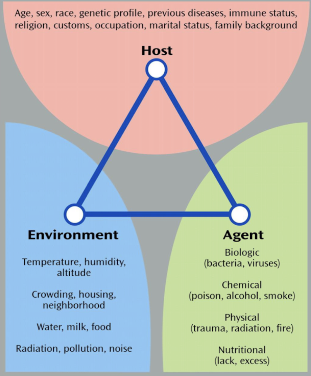 <ol><li><p>Host</p></li><li><p>Agent </p></li><li><p>Environment</p></li></ol><p></p>