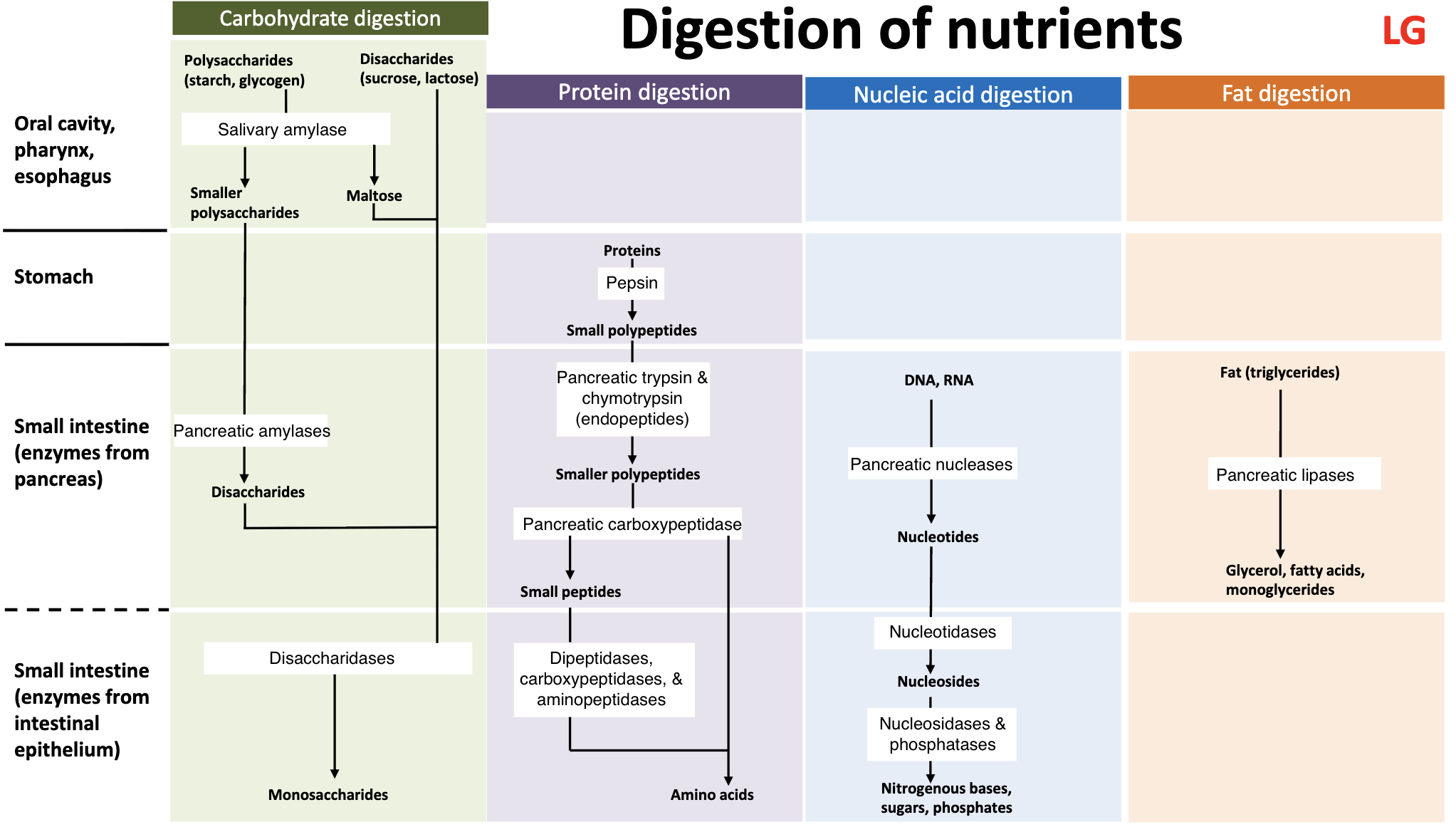 knowt flashcard image