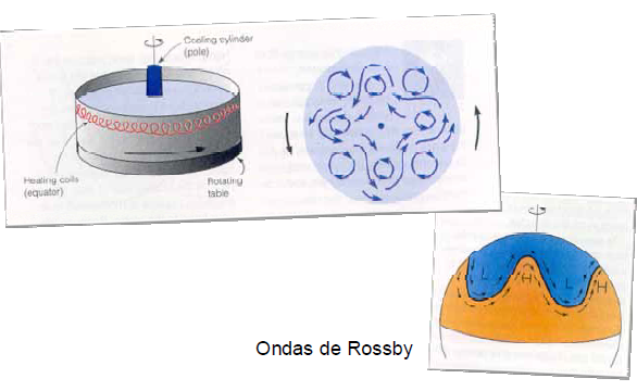 <p>Muestra como la suma de las corrientes de convección y la rotación dan lugar a patrones en el agua.</p>