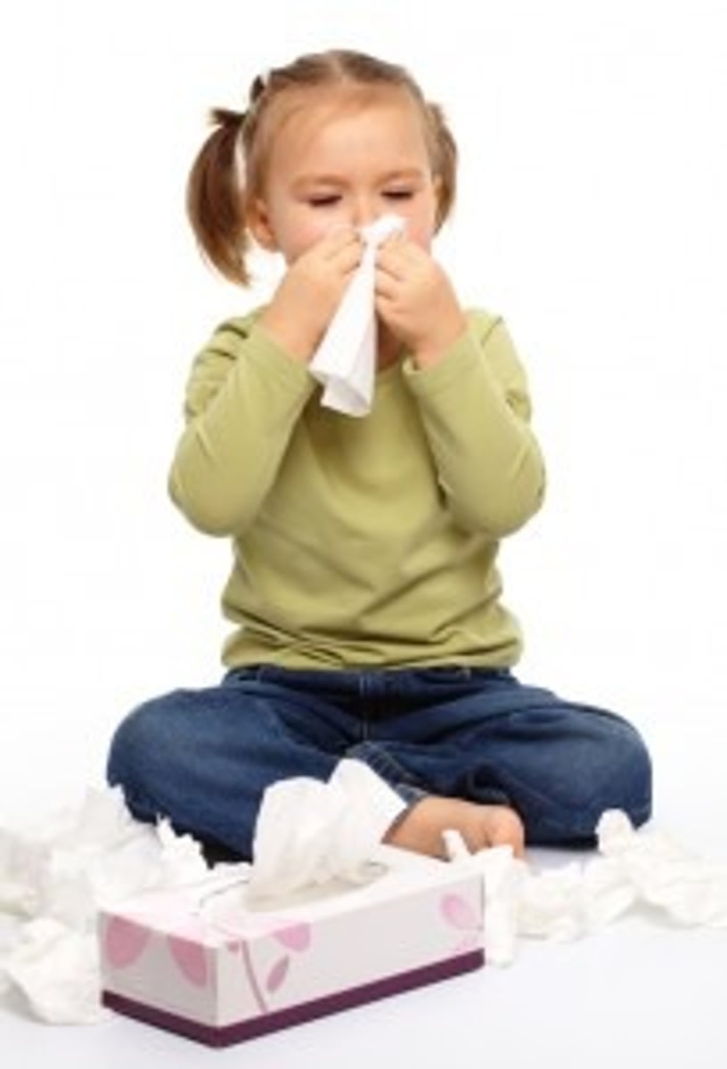 <p>cold, coryza, common cold, head cold, nasal congestion</p>