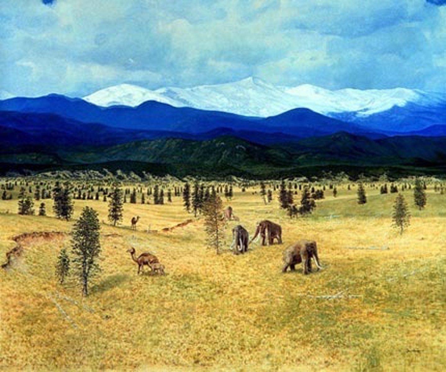 <p>Ice Age Summer</p>