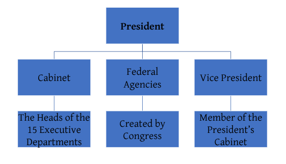 <p>President, Vice president, cabinet, executive office of the president, executive departments</p>