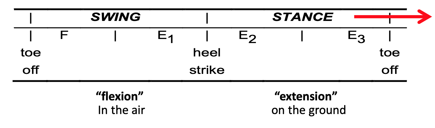 <p>Provide an example to explain the transition to the leg swing theory.</p>