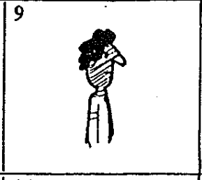 term image