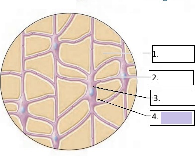 <p>4</p>