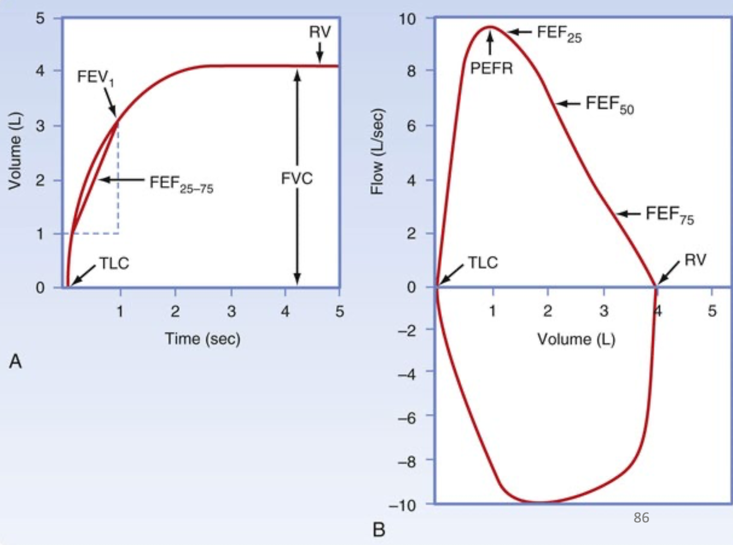 <ul><li><p>flow time curve→ forced vital capacity (FVC), FEV<sub>1sec</sub>, FEF<sub>25-75</sub></p><ul><li><p>shows flow change over time during each breath</p></li></ul></li><li><p>flow-volume loop → shows peak expiration flow (PEF) and measures forced vital capacity (FVC), developed from total lung capacity (TLC) to residual volume (RV)</p><ul><li><p>shape of loop reveals lung problems</p></li><li><p>obstructive lung → lung volume is big because it is stretched at rest</p></li><li><p>restrictive lung → lung volume is lower due to its elasticity, with higher flow rate because lungs don’t collapse</p></li></ul></li></ul><p></p>