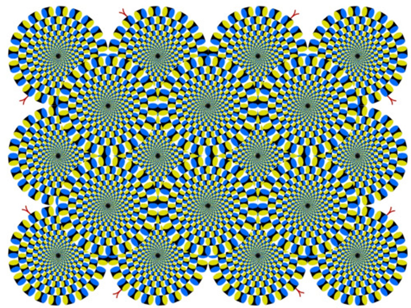 <p>an optical illusion that makes a stationary object appear to move</p>