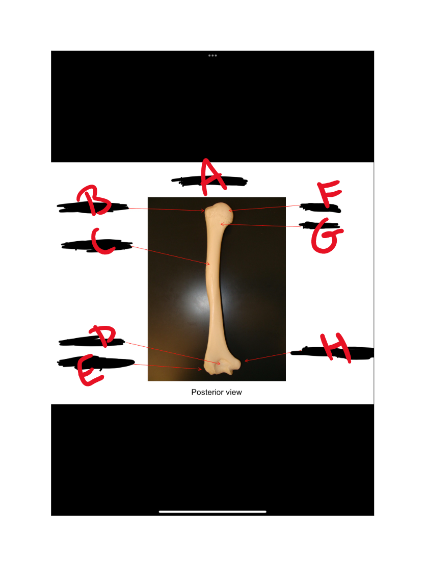 What is F?